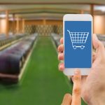 Agevolazioni a fondo perduto alle cantine vinicole pugliesi per lo sviluppo dell'e-Commerce