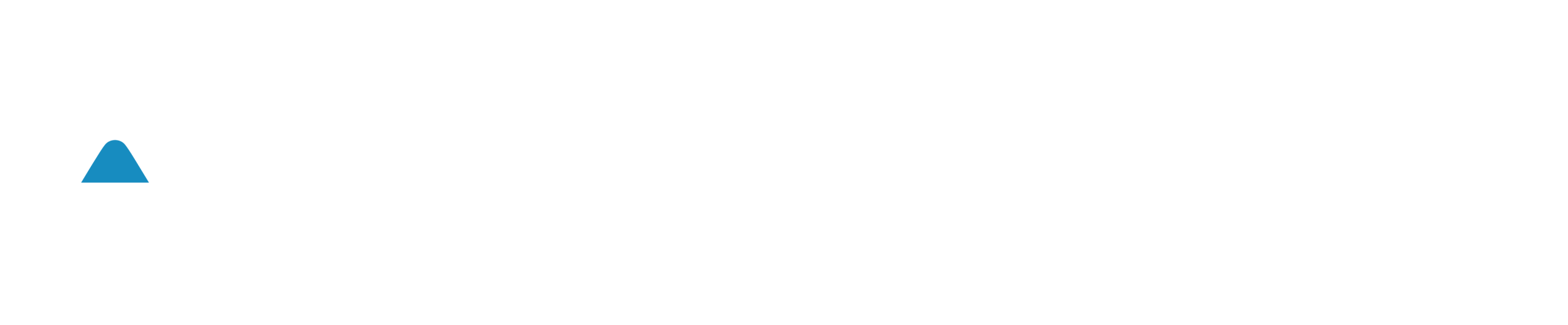 Agenzia di Performance Marketing specializzata in analisi del Business, strategie di Marketing Digitale, sviluppo piattaforme E-commerce Asernet